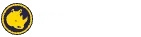 Spinorhino logo